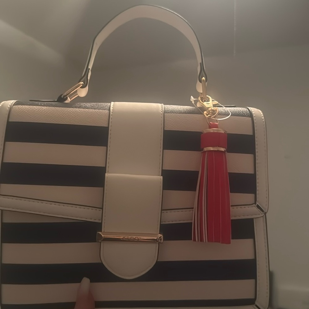 Brand new Aldo bag